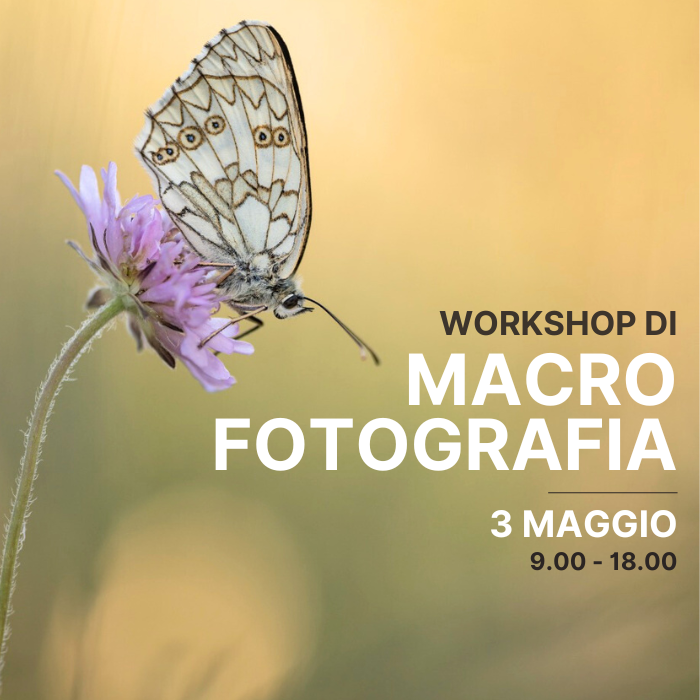 Workshop Macrofotografia - 3 Maggio - CONCLUSO