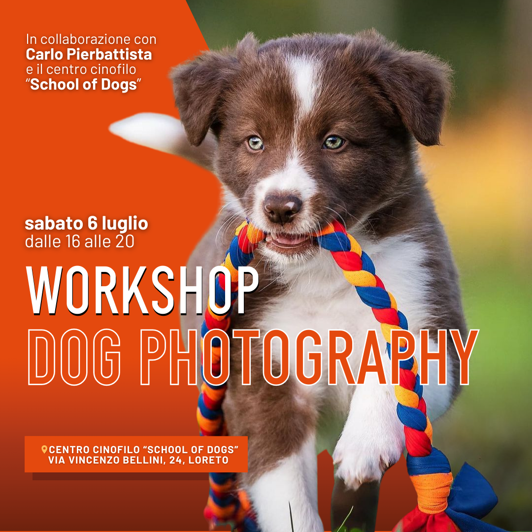 Workshop Dog Photography -  6 Luglio - CONCLUSO